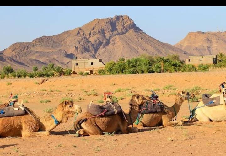 Hotel Bivouac Zagora Exterior foto